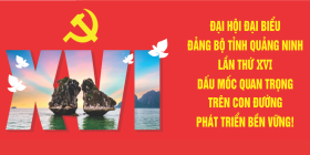 Chào mừng ĐH Đảng bộ tỉnh
